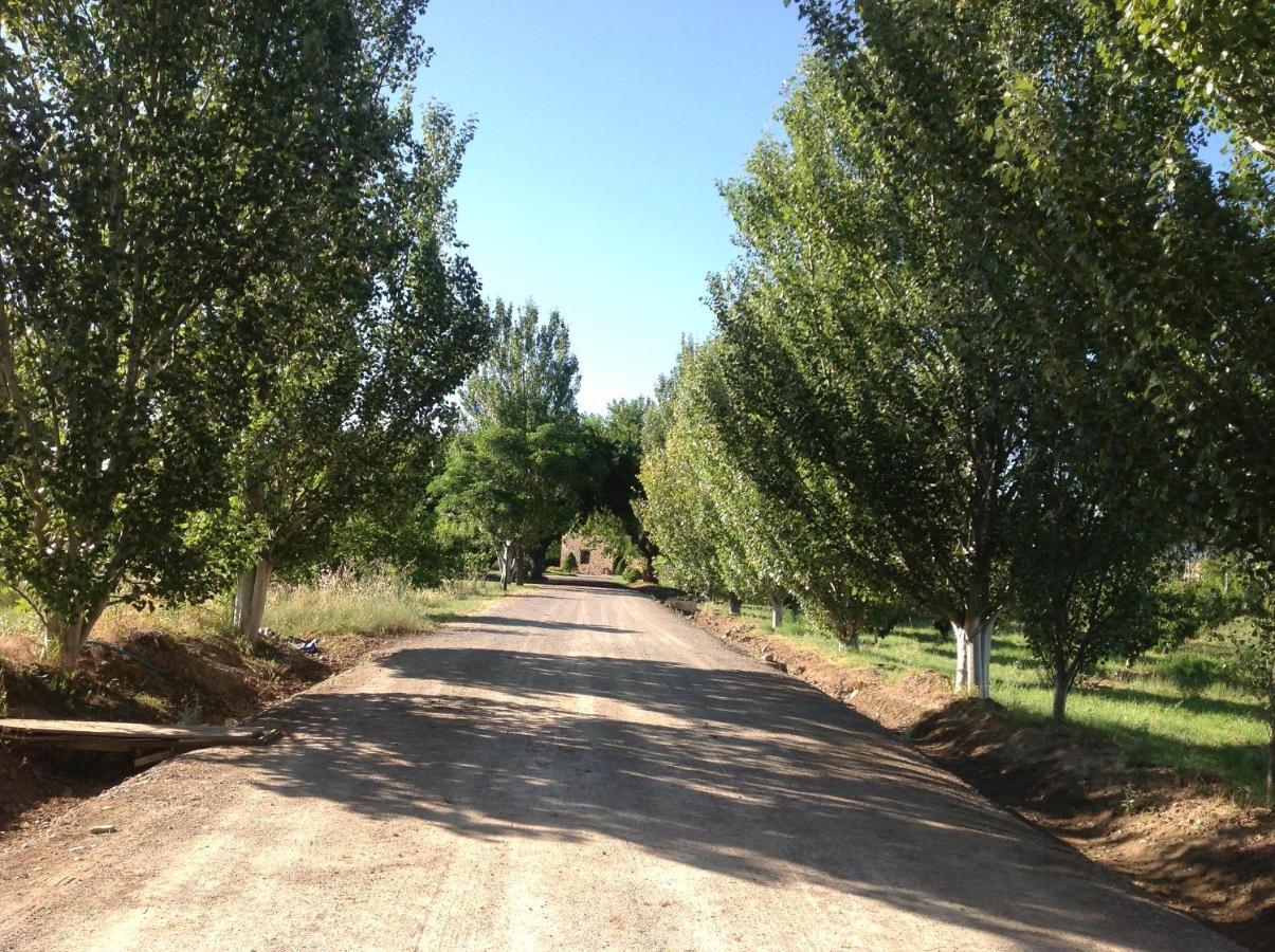 Finca El Consul لوغرونيو المظهر الخارجي الصورة